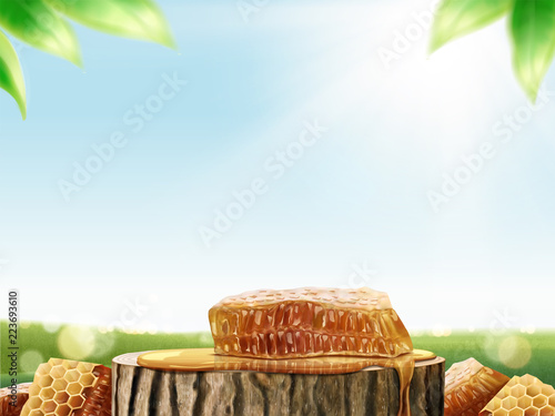 Honeycomb and pure honey
