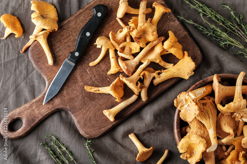 Raw wild chanterelle mushrooms ready for cooking. Composition with wild mushrooms. Top view