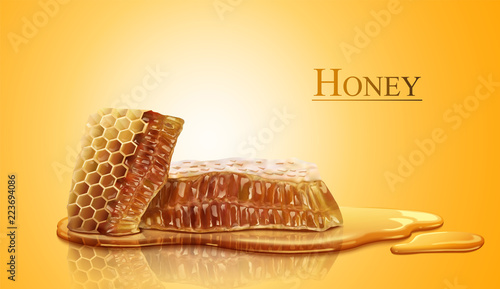 Honeycomb and sweet pure honey