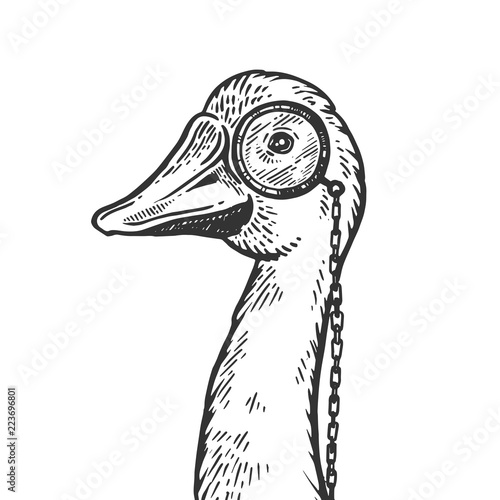 Goose bird witn monocle engraving vector illustration. Scratch board style imitation. Black and white hand drawn image. photo