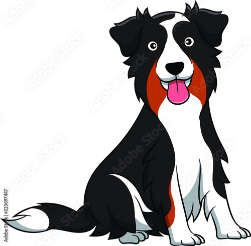 Cute Australian Shepherd Cartoon Dog. Vector illustration of an australian shepherd dog breed.