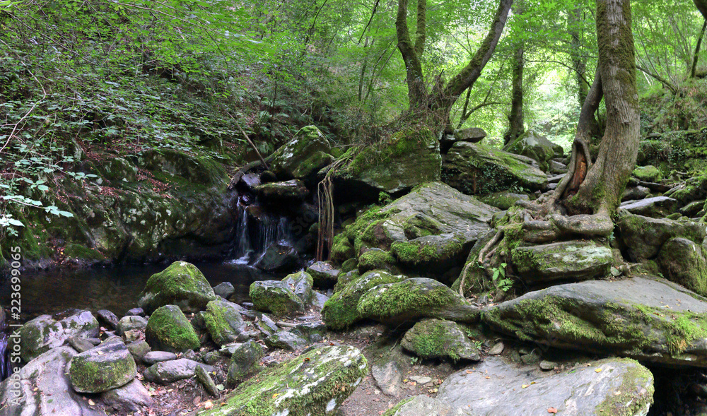 A moss covered rocky waterfall and some trees on the stones in the luxuriant thick Fragas del Eume forest, together with tress with roots in the rocks, next to the Eume river, in Galicia, Spain