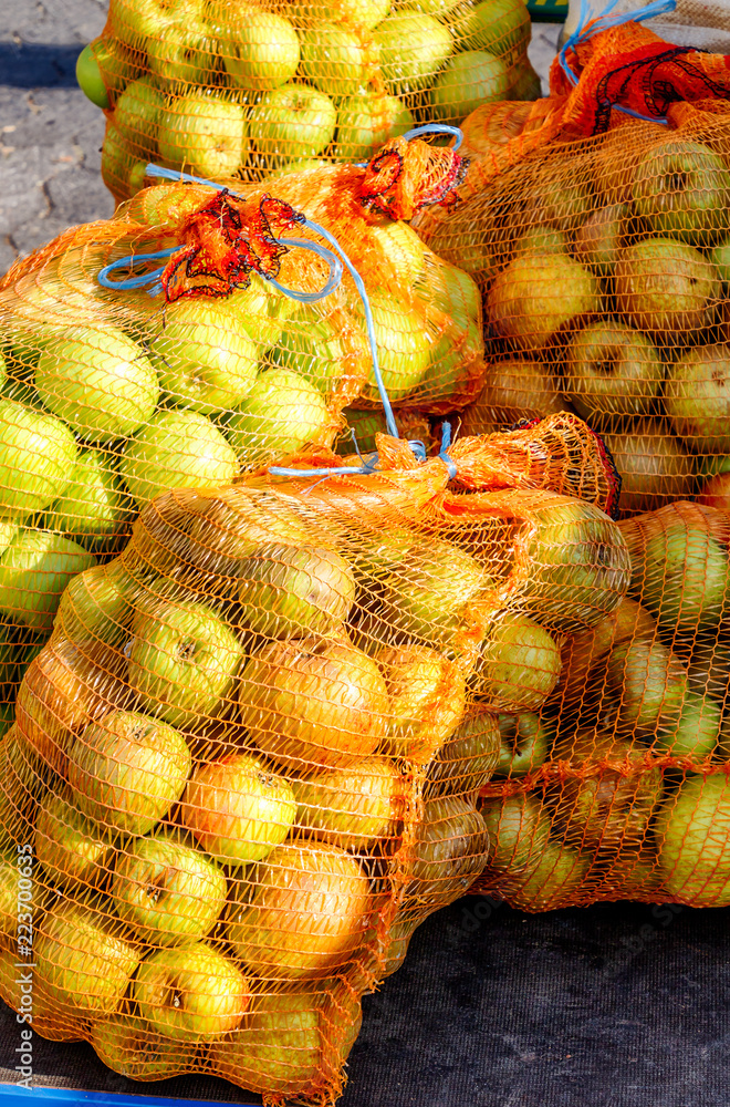 Reiche Apfelernte 2018 in Deutschland –Anlieferung an eine hessische Kelterei – Riesige Netz-Säcke voll von schönen frischen Äpfeln. 