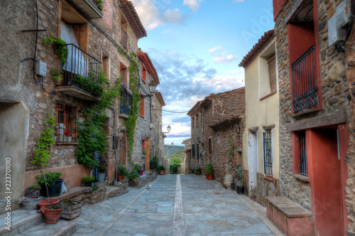 A landscape of the main drag (calle mayor) in Alcalá del Moncayo town in Aragon, Spain, during autumn, with green ivy climbing on the bricks walls of a traditional stone made houses