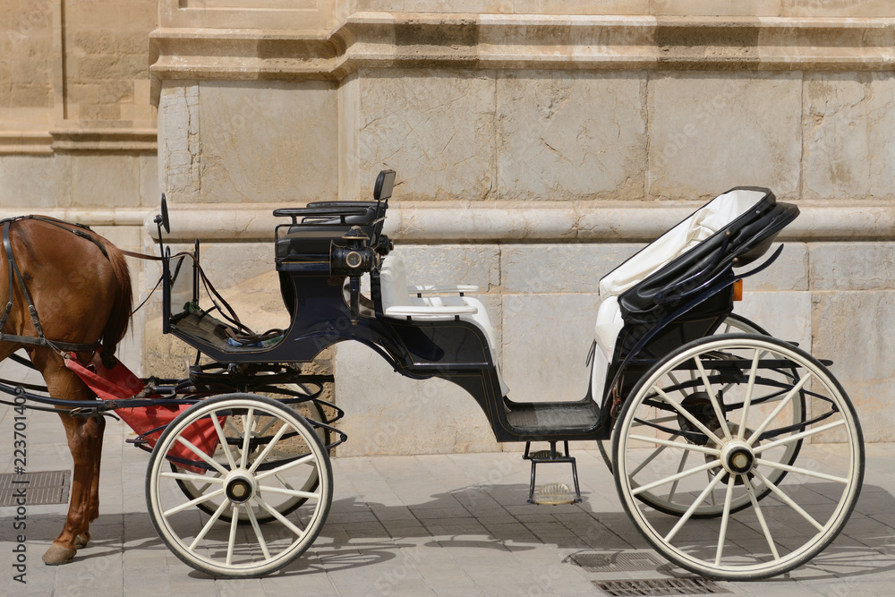 horse harnessed to an old carriage horse harnessed to an old carriage