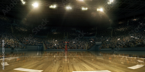 Professional basketball arena in 3D. Tribunes with sport fans © Alex