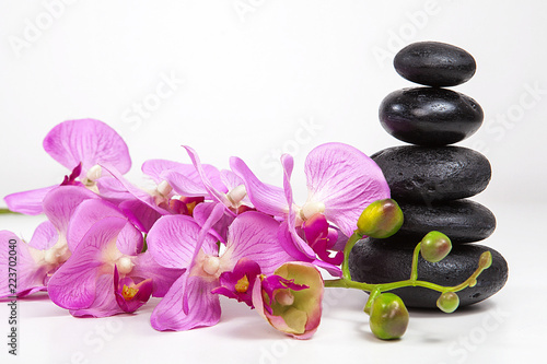 pembe orkide ve spa taşları