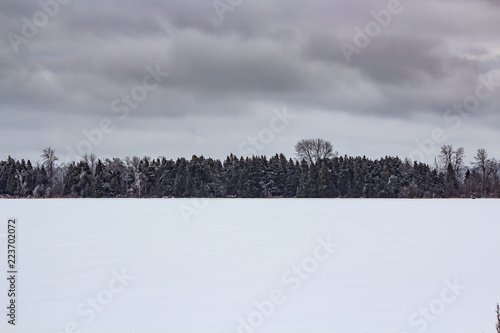Obraz na płótnie Frozen wilderness in Northern w salonie