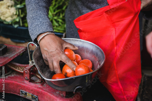 Organic, garden grown tomatoes on a scale.