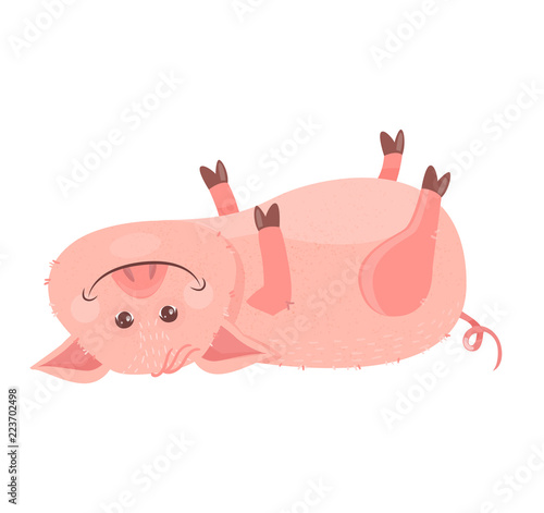 Funny Christmas symbol Piggy 2019. Pig in the New Year's hat lies upside down
