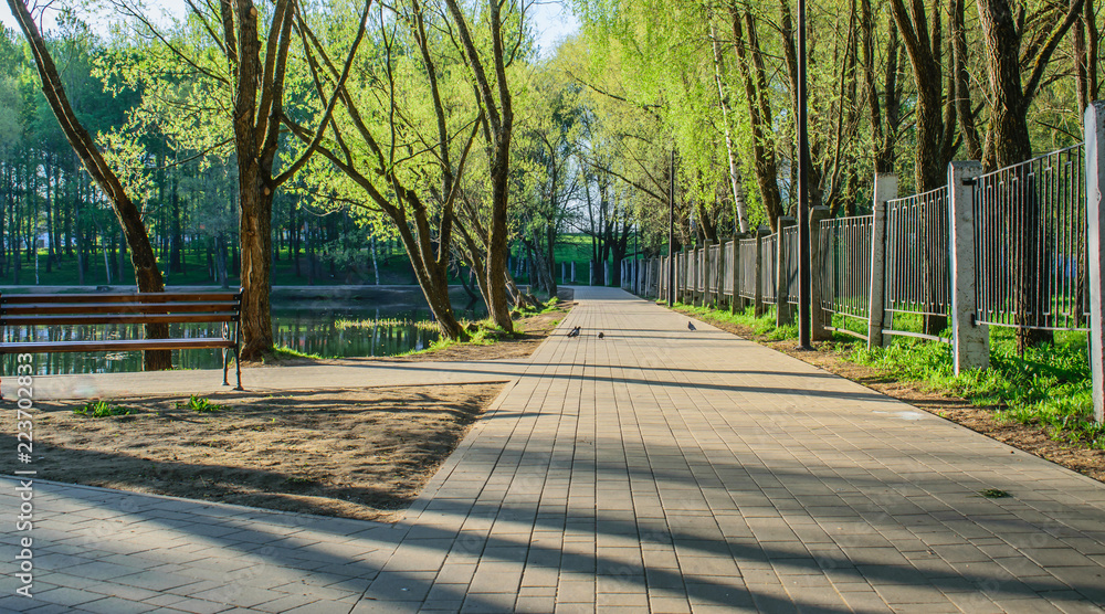 Obraz premium Paths in the city Park