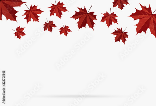 autumn red maple leaf fall isolated on white background