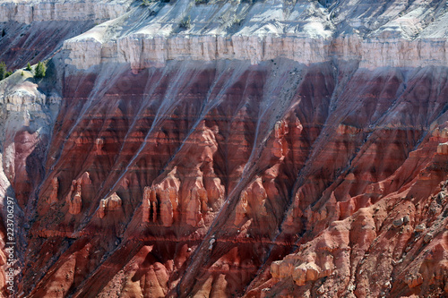 dark red constrast with while rock beds at Cedar Breaks National Monument, Utah, USA
