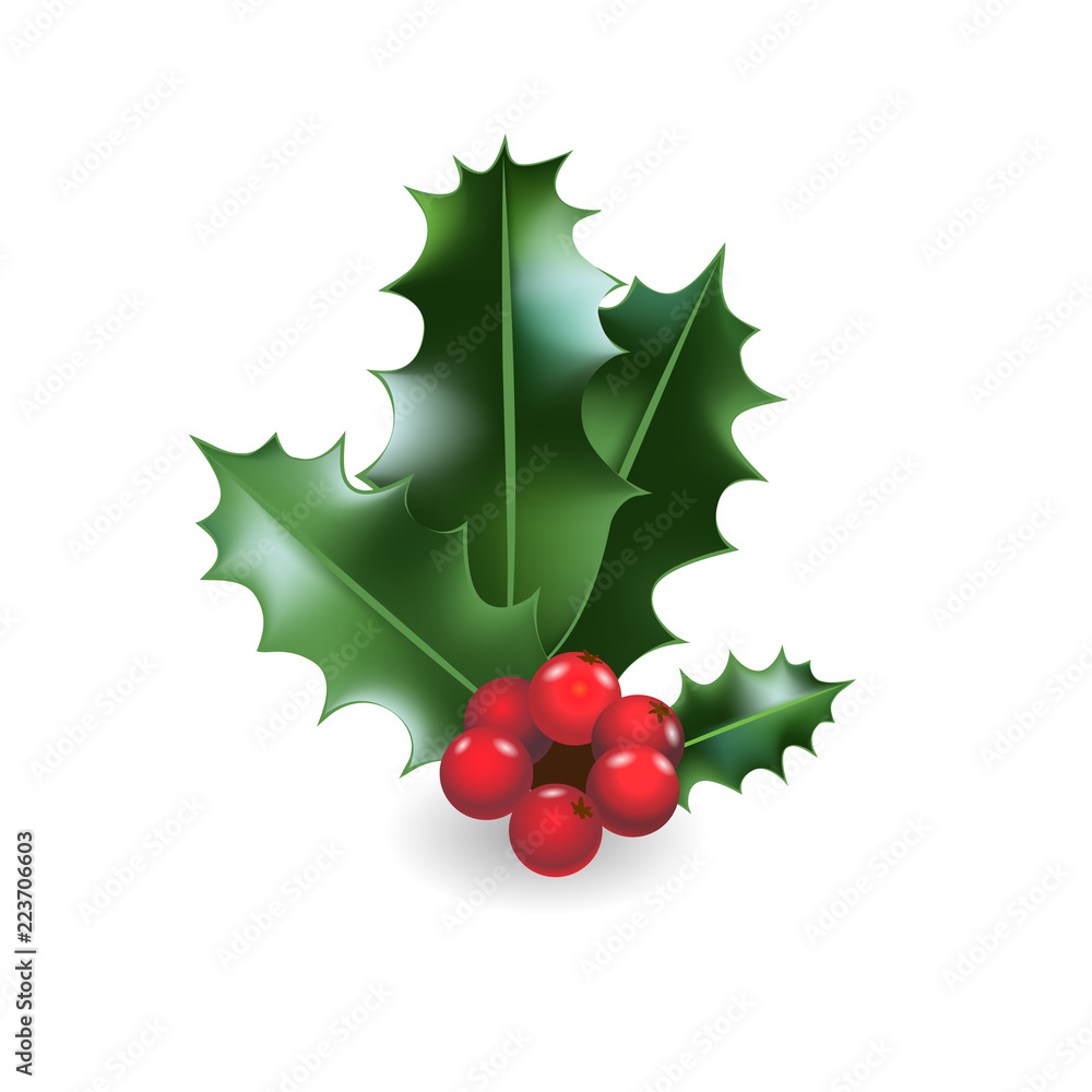Holly festive decor Holly festive decor