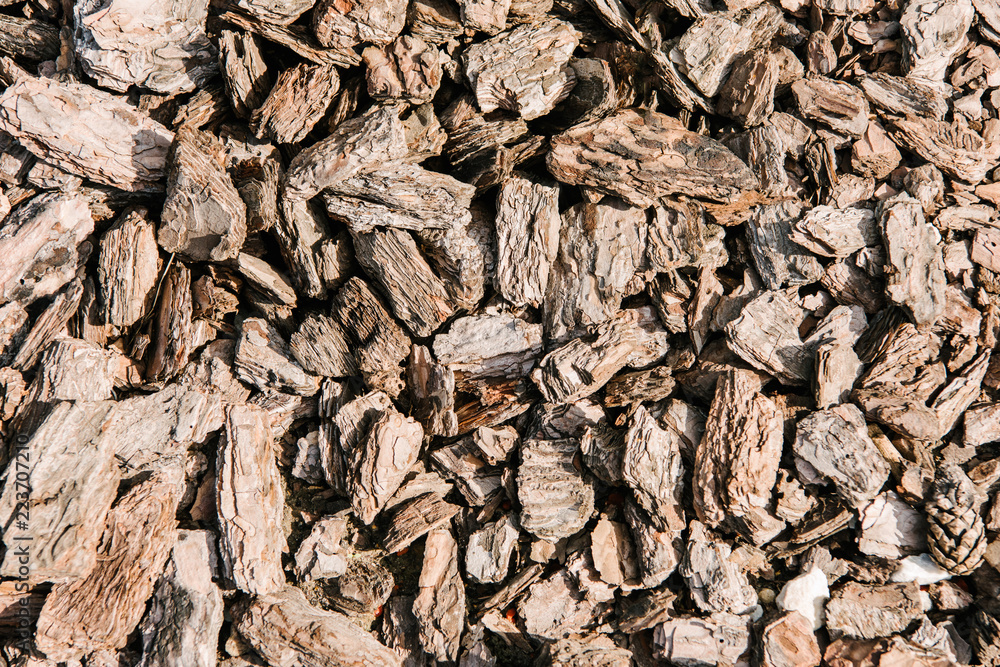 full frame shot of pieces of wooden bark for background full frame shot of pieces of wooden bark for background