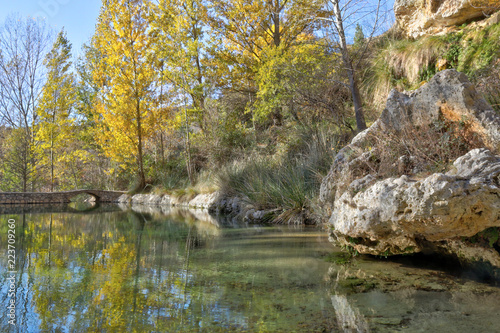 A landscape of a small pond with yellow trees, branches and rocky mountains and cliffs during autumn in the Aguallueve rural park in Anento, Aragon, Spain