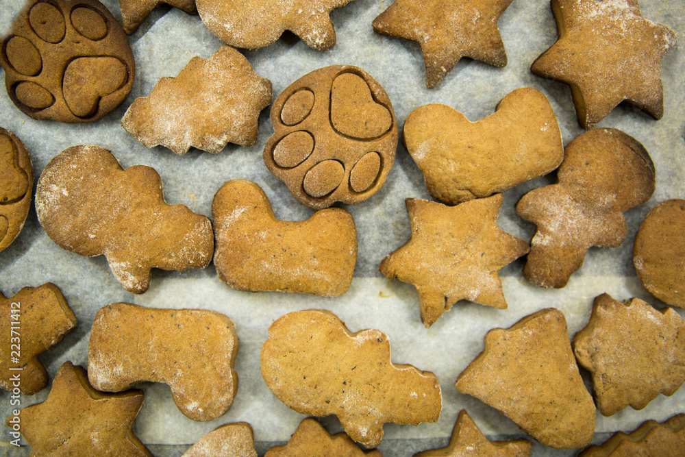 Baked ginger cookies  without glaze and icing in different shapes: bells, boots, snowman, stars, christmas tree, cats paws. Top view, close up.