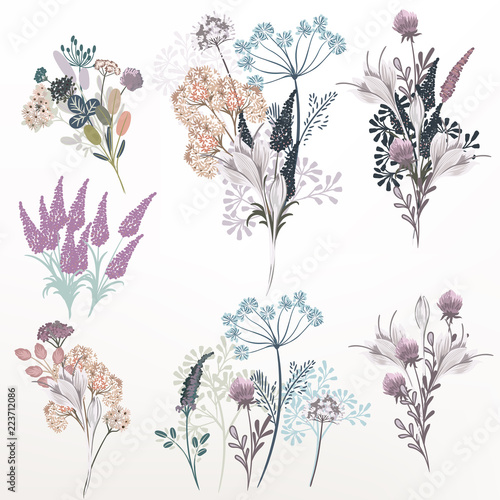 Collection of vector flower composition for design