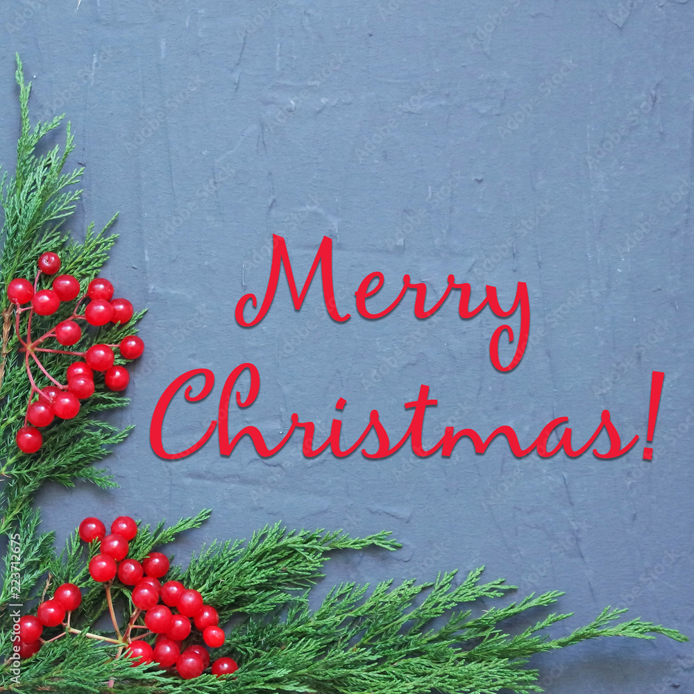 Fototapeta premium merry christmas card