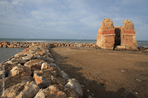 Photography monument marsh of torre flavia ladispoli rome