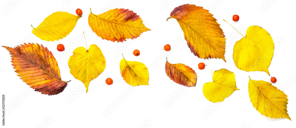 Pattern Made Of Autumn Red Berries And Yellow Leaves On White Isolated Background. Flat Lay, Top View, Minimal Style Pattern Made Of Autumn Red Berries And Yellow Leaves On White Isolated Background. Flat Lay, Top View, Minimal Style