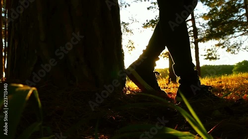 Legs of a girl standing by a tree in a forest against a sunset background. photo