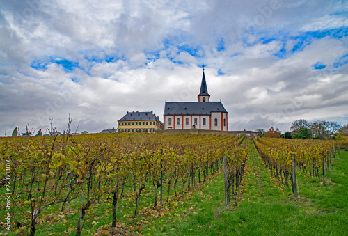 Obraz na płótnie Herbst in den Weinbergen der Hochheimer Hölle, Hochheim am Main, Hessen, Deutschland w salonie