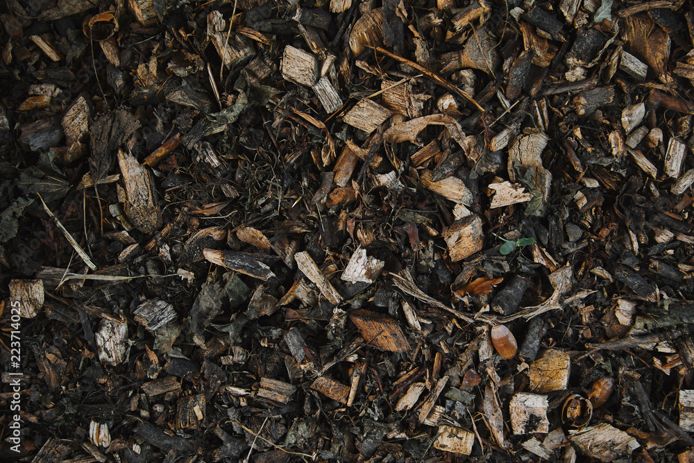 top view small wooden pieces and dried leaves on ground top view small wooden pieces and dried leaves on ground