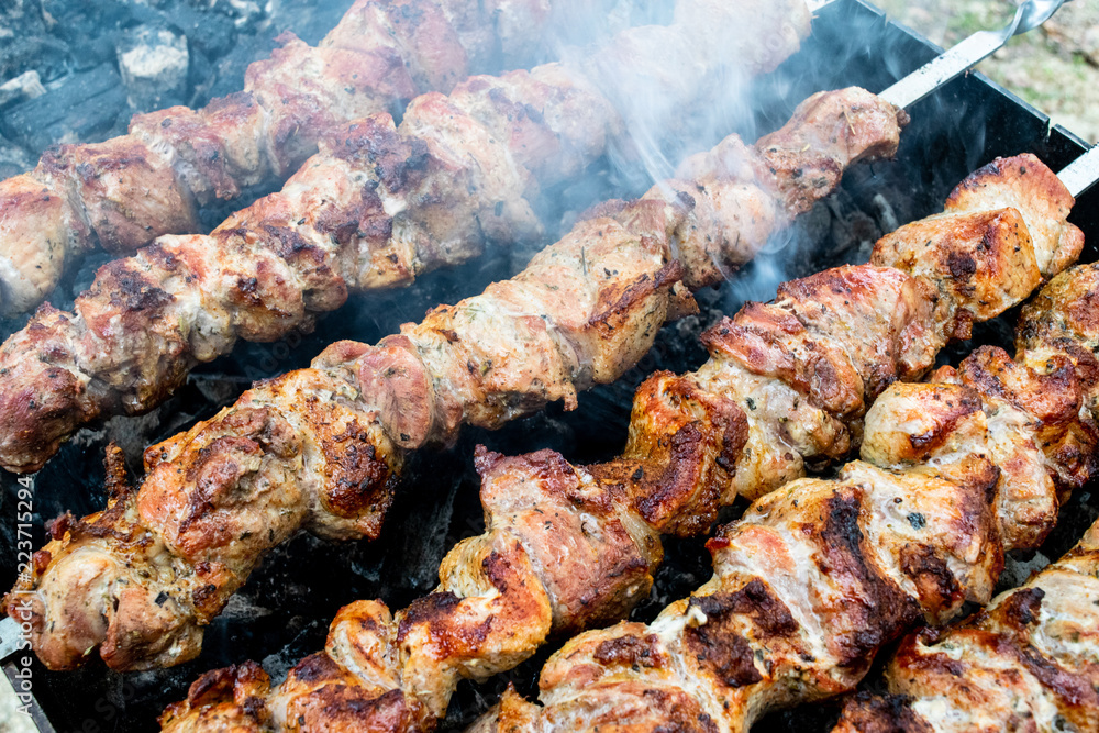 Frying pork on a skewer over a brazier. Turning meat over coals. Appetizing shish kebab. Delicious barbecue. Frying pork on a skewer over a brazier. Turning meat over coals. Appetizing shish kebab. Delicious barbecue.