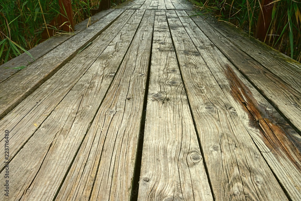 Fototapeta premium wood road in forest