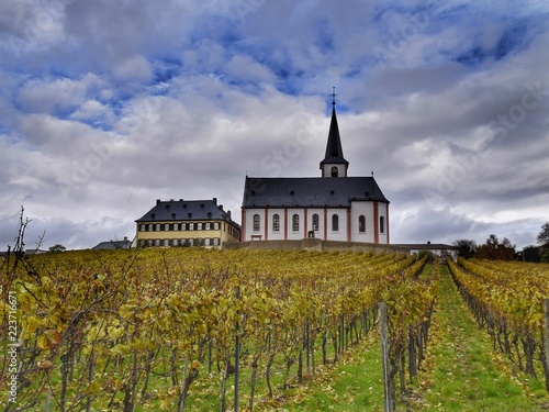 Obraz na płótnie Herbst in den Weinbergen der Hochheimer Hölle, Hochheim am Main, Hessen, Deutschland w salonie