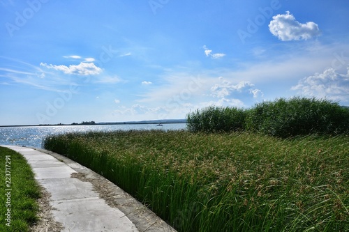 path to the beach