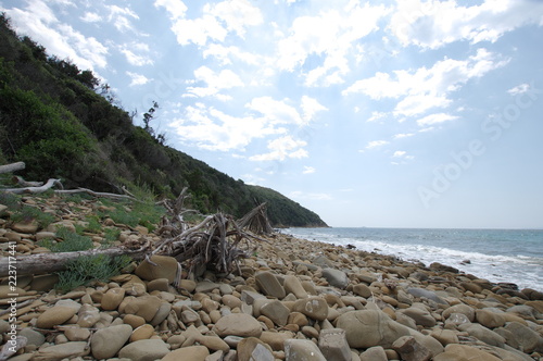 coast of the sea cala martina follonica grosseto
