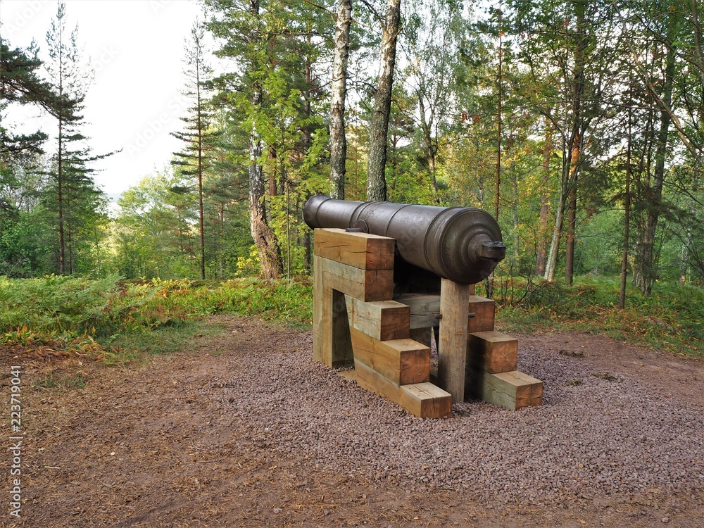 Cannon amongst trees in a wood near Mariehamn, Aland, Finland