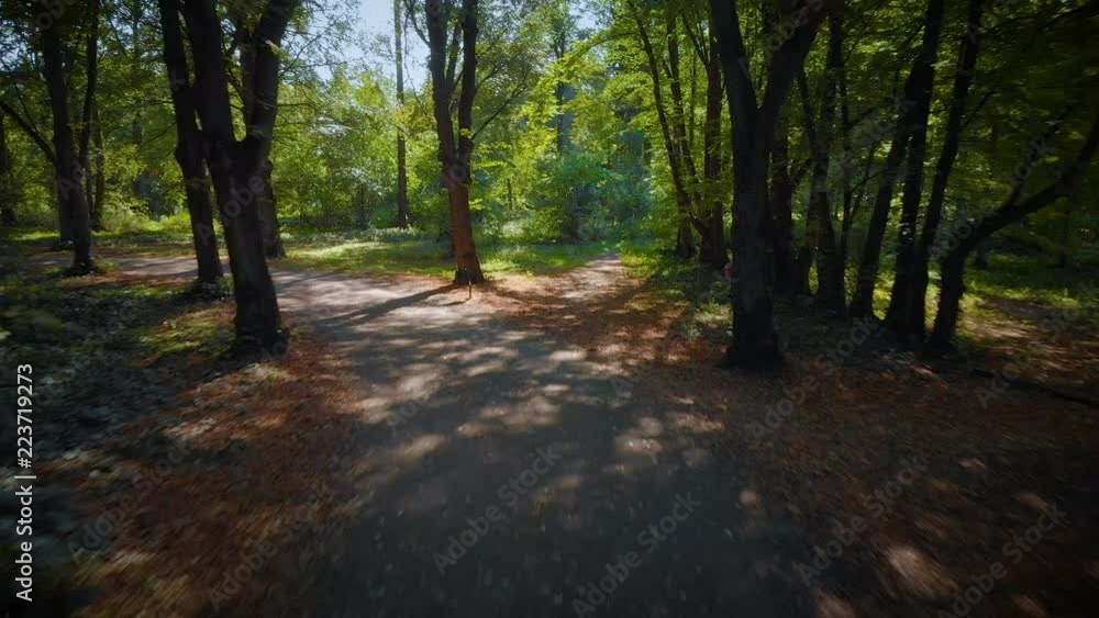 camera moving between trees in the green forest / public park (aerial) camera moving between trees in the green forest / public park (aerial)