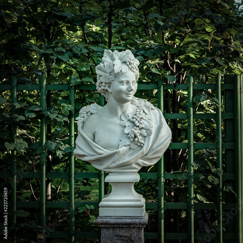 statue in the summer garden
