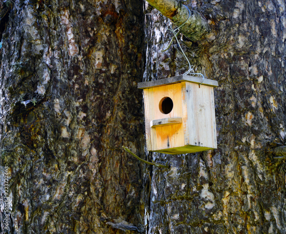 wooden birdhouse hanging from tree with natural in background wooden birdhouse hanging from tree with natural in background
