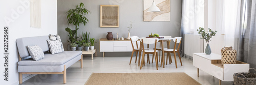 Panorama of a bright  spacious living and dining room interior with white  wooden furniture  gray sofa and plants