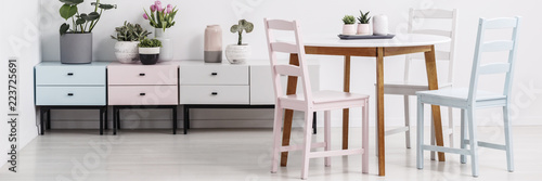 Dining table with colorful chairs standing in real photo of white room interior with pastel cupboards with fresh plants