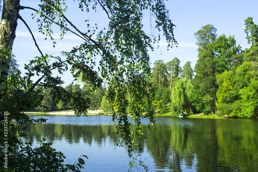 Peaceful place in the park. A lake in forest landscape. 