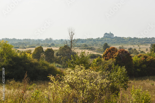 A landscape with a castle. Olesko castle. Ukraine photo