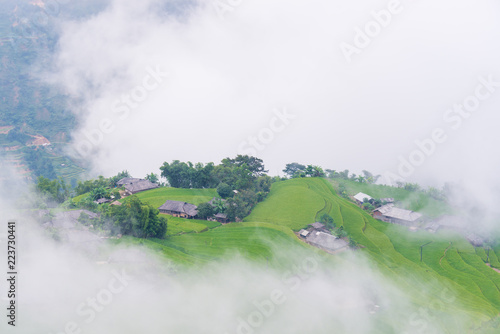 Terraces field in Hoang Su Phi, Ha Giang, Vietnam © VietDung