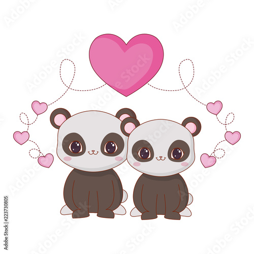 cute couple panda love animals romance