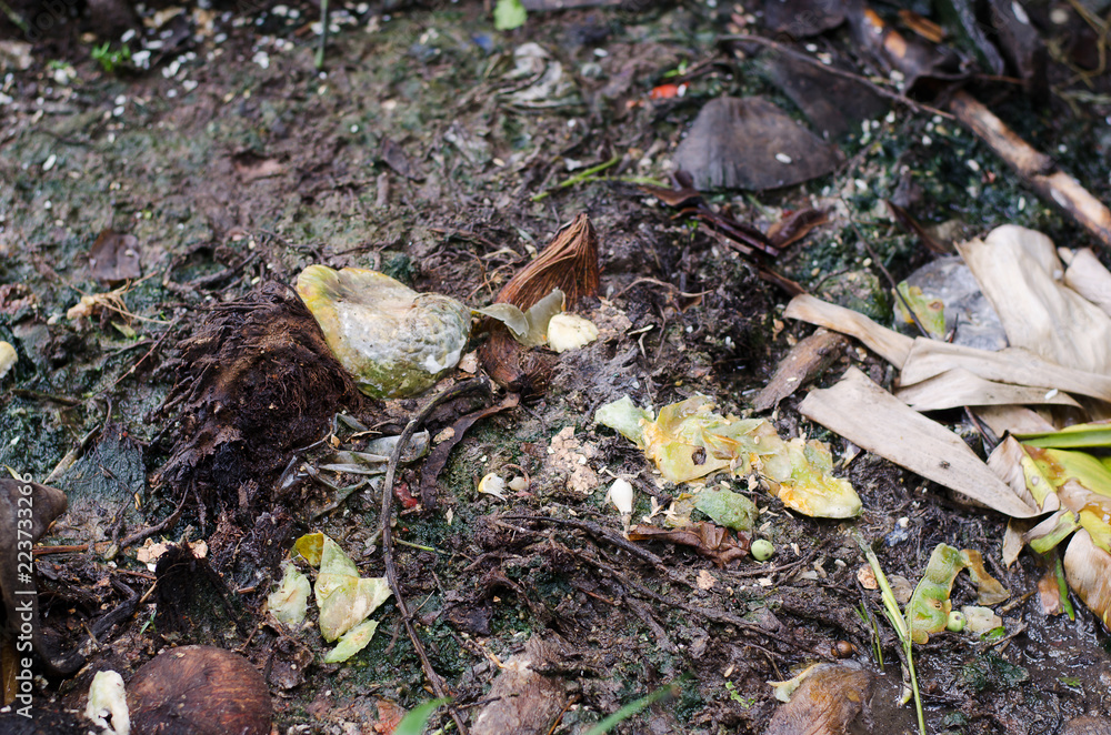 Obraz premium Trash on beach