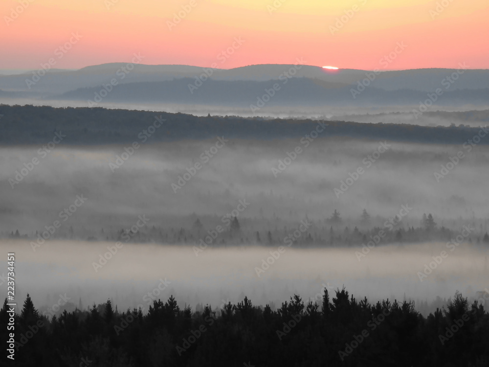 Fototapeta premium Petit matin