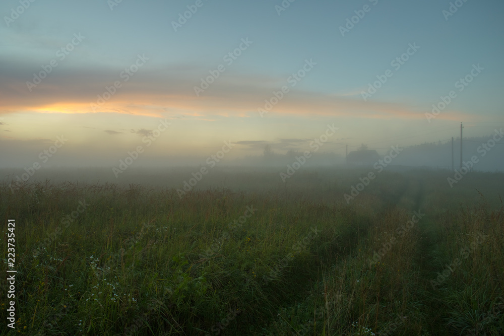 Meadow With Way Road In Thick Fog After Rain In Countryside At Evening In Summer.