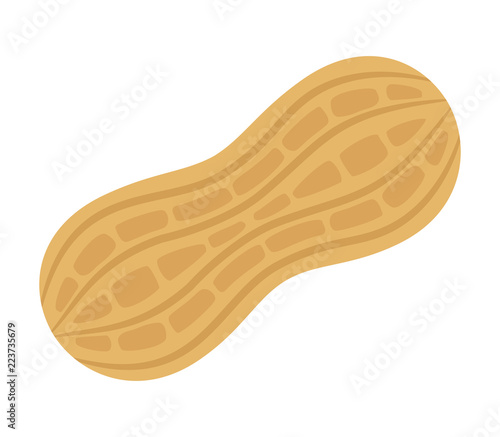 Tasty peanut isolated on white background, flat style vector illustration.