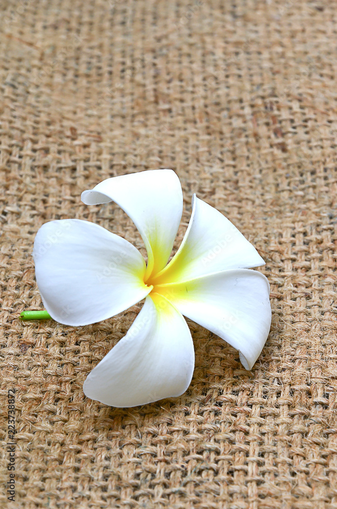 Naklejka premium Plumeria flower on the background of hemp sacks.