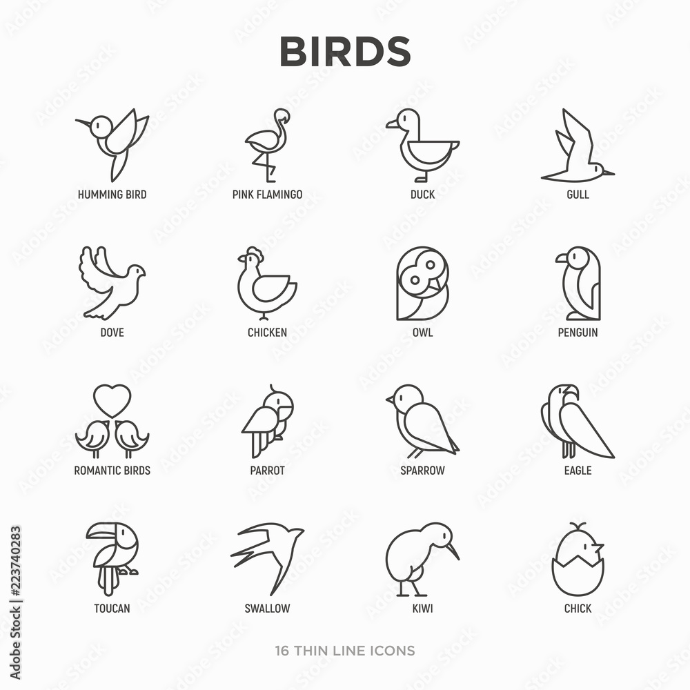 Naklejka premium Zestaw ikon cienka linia ptaków: gołąb, sowa, pingwin, wróbel, jaskółka, kiwi, papuga, orzeł, koliber, różowy flaming. Ilustracja wektorowa nowoczesne.