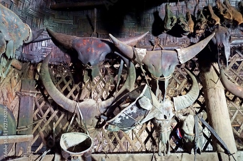 various animal skulls, decoration for longhouse, Longwa, Nagaland, India photo